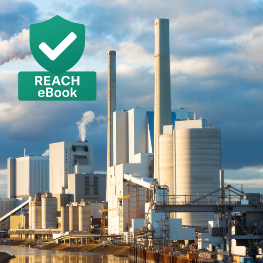 REACH eBook