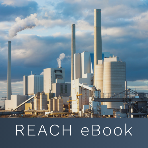 REACH eBook